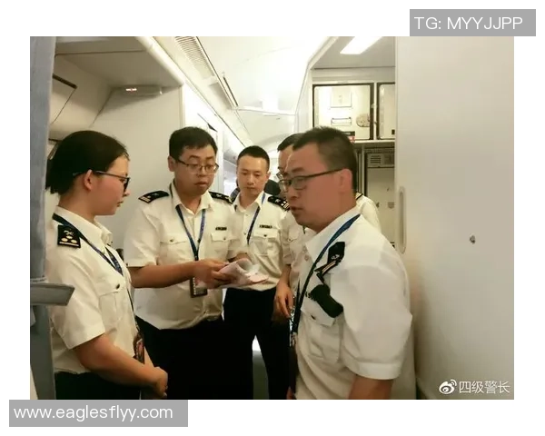 广州乒乓球队逆袭全国锦标赛的辉煌历程与背后故事揭秘