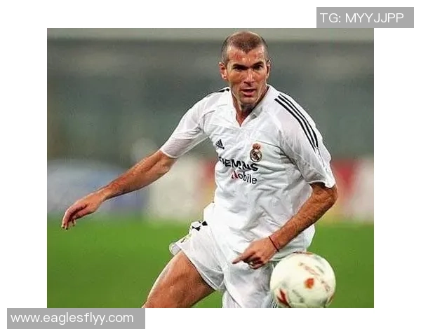 西方足球明星全名汇总及其成就与影响力分析