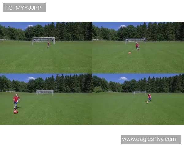 纪念足球明星精彩瞬间视频素材免费下载分享平台 纪念足球明星精彩瞬间视频素材免费下载分享平台