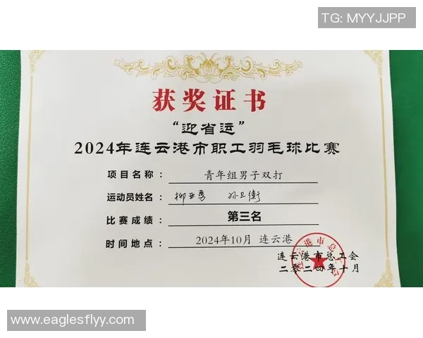 西安羽毛球队区域防守分析及其在比赛中的成效与不足之处探讨