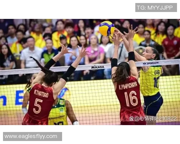 深圳排球队创新高排球状态排名引发关注与期待 深圳排球队创新高排球状态排名引发关注与期待
