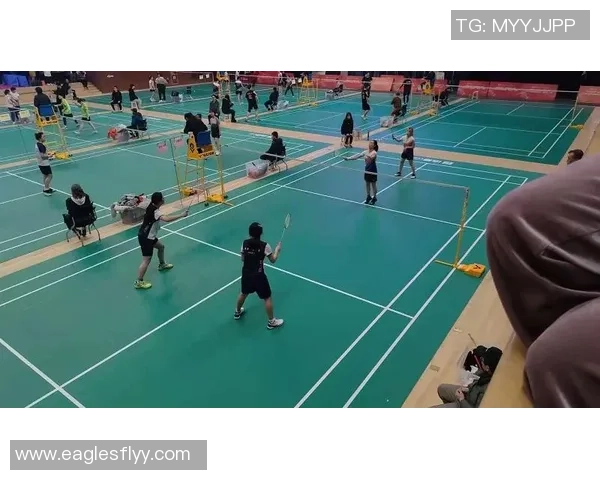 深圳羽毛球队的团队协作精神与成功之路探讨