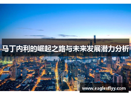 马丁内利的崛起之路与未来发展潜力分析